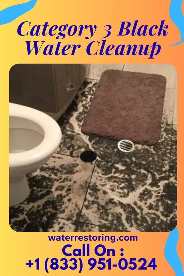 Category 3 Black Water Cleanup in Indiana, PA
