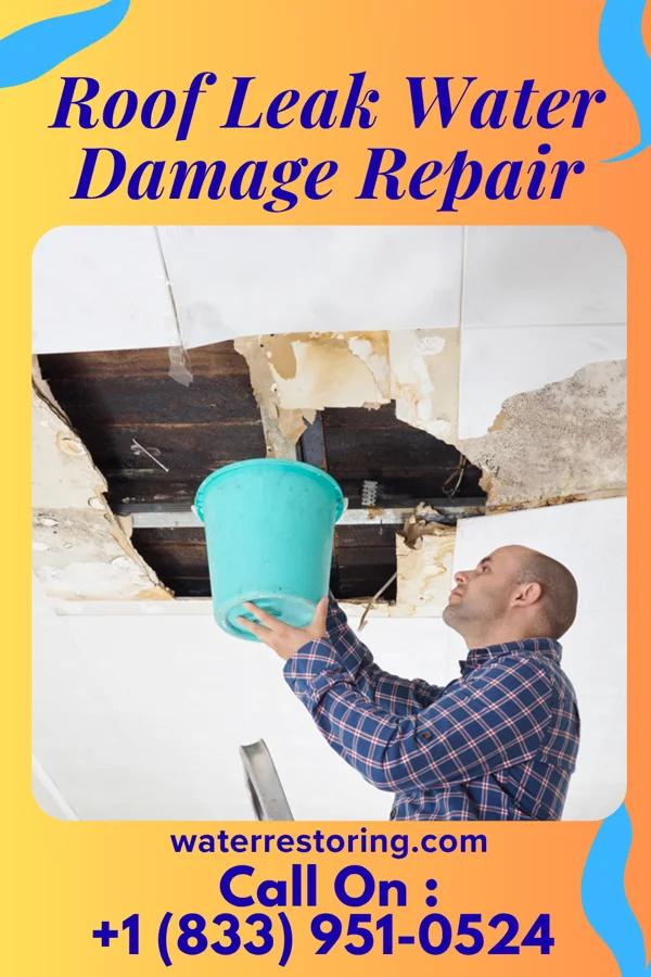 Roof Leak Water Damage Repair in Indiana, PA