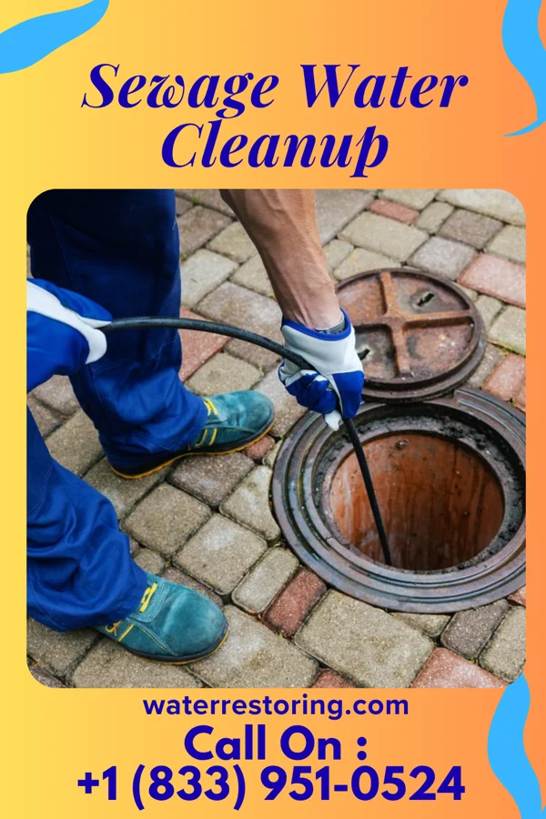 Sewage Water Cleanup in Indiana, PA